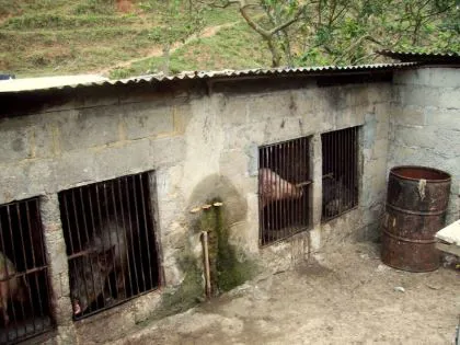 Resort para venda em Campo Belo